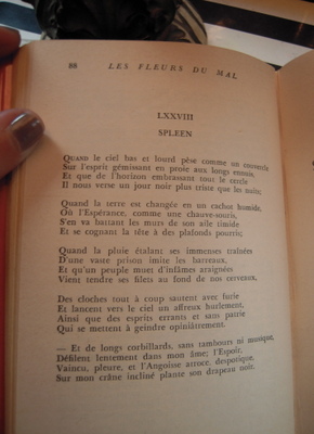 livre-spleen-baudelaire-bibliotheque-ideale.JPG