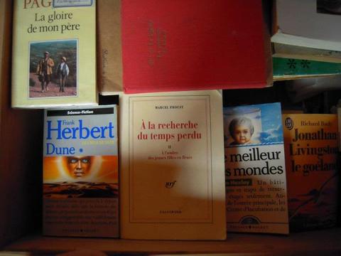 livres-bibliotheque-ideale2.jpg