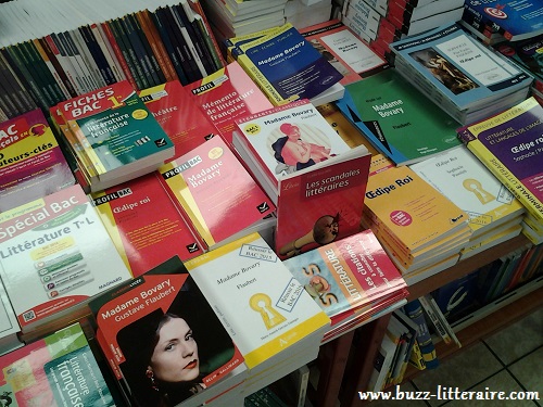 Etalage au rayon parascolaire/bac français du libraire Gibert jeune où Madame Bovary règne...