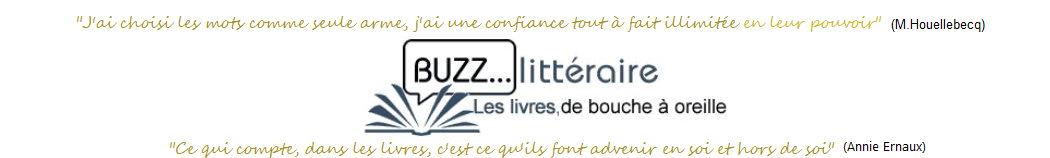 critiques-analyse-livres-romans-litterature-publication-manuscrit-2